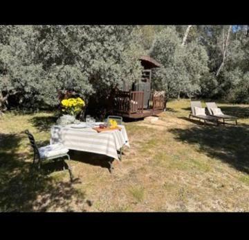 Hotel Roulotte / Tiny House Dans Les Alpilles à Saint-Rémy-de-Provence Extérieur photo